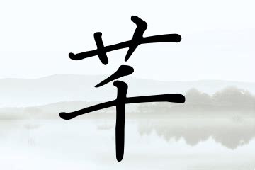 芊的名字